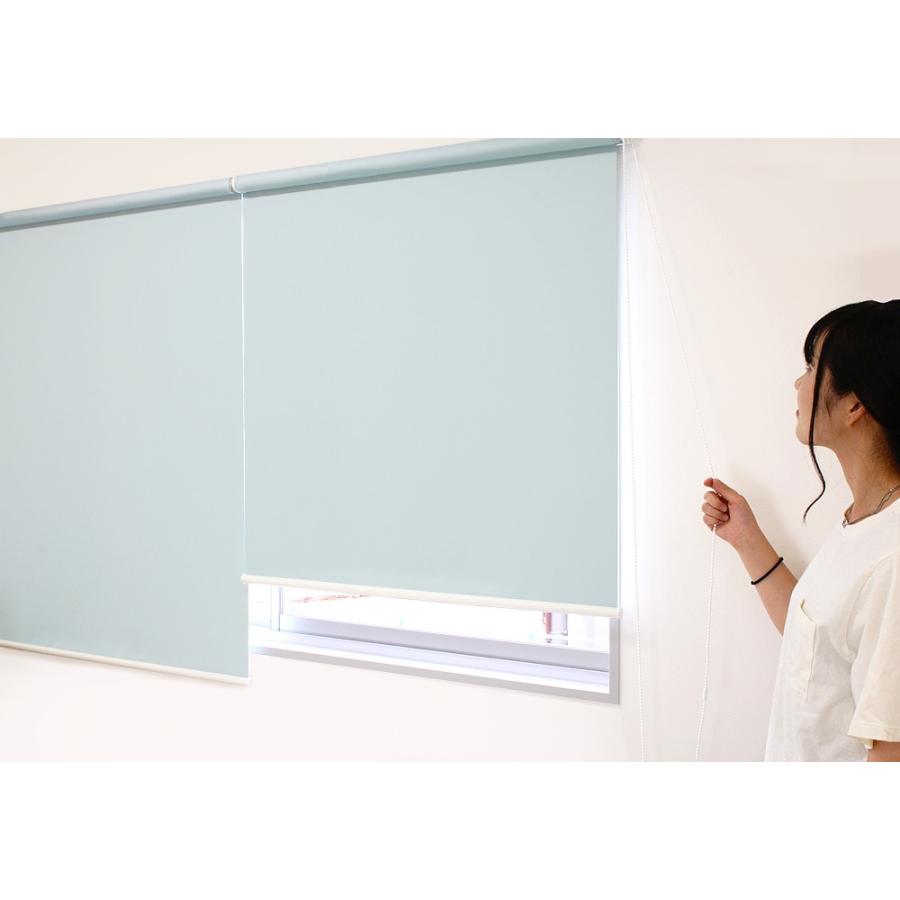 遮光 ロールスクリーン オーダー対応 「幅35〜70cm×丈35〜180cm」 ロールカーテン 北欧 おしゃれ 安い 遮光率99.9％ 遮熱 防炎 国内生産 BOTANICAL | さくらインテリア | 12