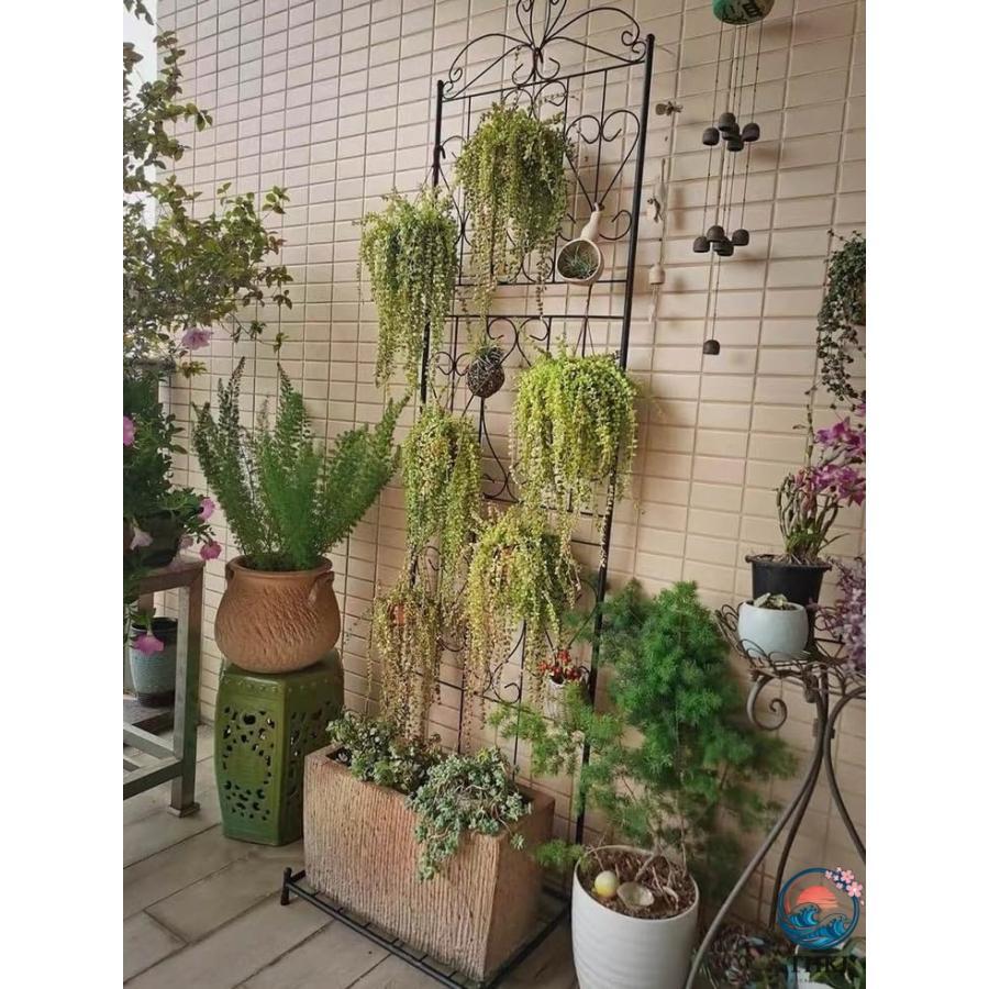 ベース付きメタルガーデントレリス 屋外 屋内のつる植物用のスクリーンスタイルの棚 THKJ フラワーローズクライミング用の大きな庭のつる植物ホルダー_3