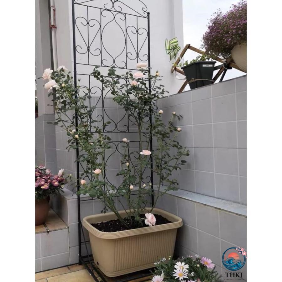 ベース付きメタルガーデントレリス 屋外 屋内のつる植物用のスクリーンスタイルの棚 THKJ フラワーローズクライミング用の大きな庭のつる植物ホルダー_7