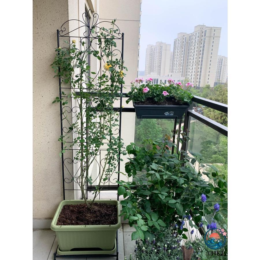 ベース付きメタルガーデントレリス 屋外 屋内のつる植物用のスクリーンスタイルの棚 THKJ フラワーローズクライミング用の大きな庭のつる植物ホルダー_8