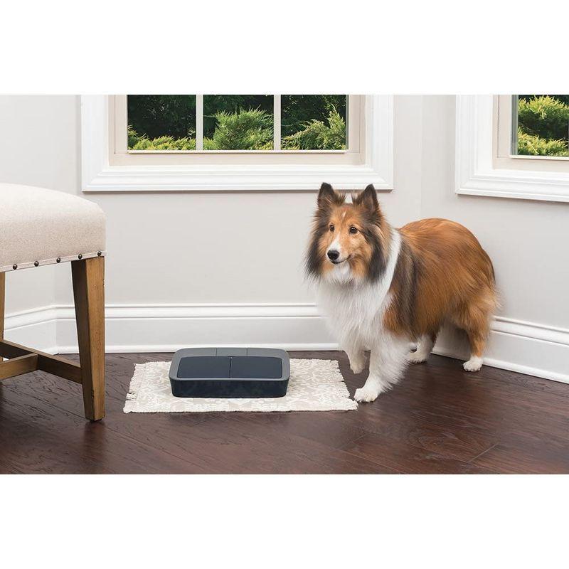 PetSafe おるすばんフィーダー デジタル2食分 バージョン2 自動給餌器 猫 中小型犬用 自動餌やり器 タイマー式 定時定量 1日2食 おるすばんフィーダー デジタル2食分 バージョン2 自動給餌器 猫 中小型犬用 自動餌やり器 タイマー式 定時定量 1日2食