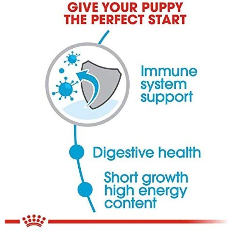 ロイヤルカナン SHN ミディアム ジュニア 犬用 10kg SHN ミディアム ジュニア 犬用 10kg