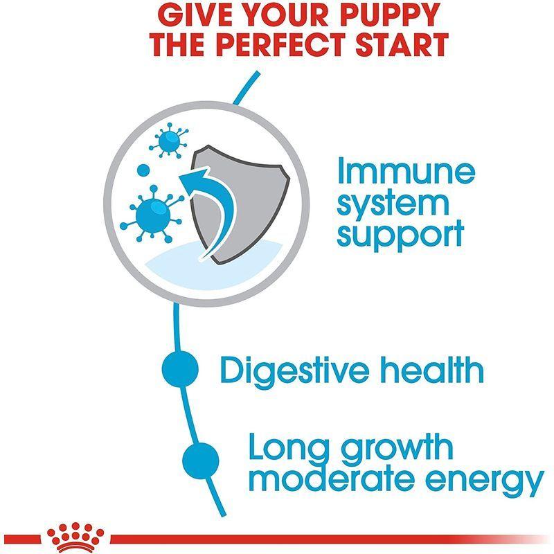ロイヤルカナン SHN マキシ ジュニア 犬用 10kg SHN マキシ ジュニア 犬用 10kg
