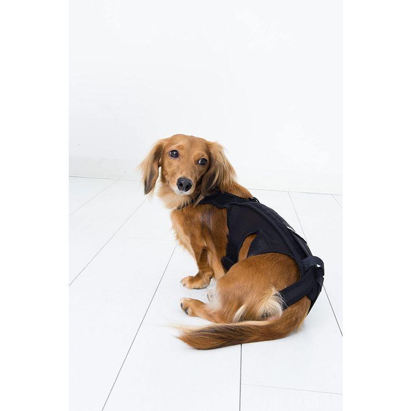 アニフル (anifull) わんコル 赤 M 犬用コルセット anifull わんコル 赤 犬用コルセット