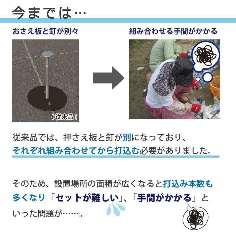 【値下げ中】 DAIM 防草シート押さえ 楽釘 長さ15cm・20cm 300本入 園芸 防草 雑草対策 防草シート ピン 釘押さえ おさえ ガーデニング 【Y1845736460】(10919円)