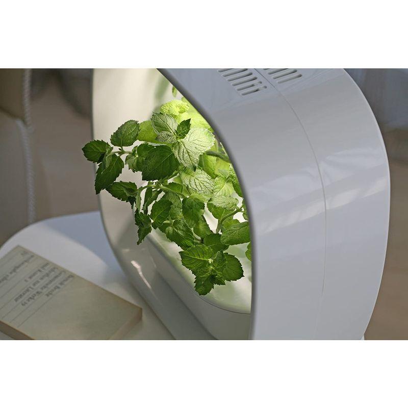 LED照明付水耕栽培キット VEGUNI(ベジユニ) 日本製 W336×D150×H336mm VEGUNI ベジユニ 日本製 W336×D150×H336mm