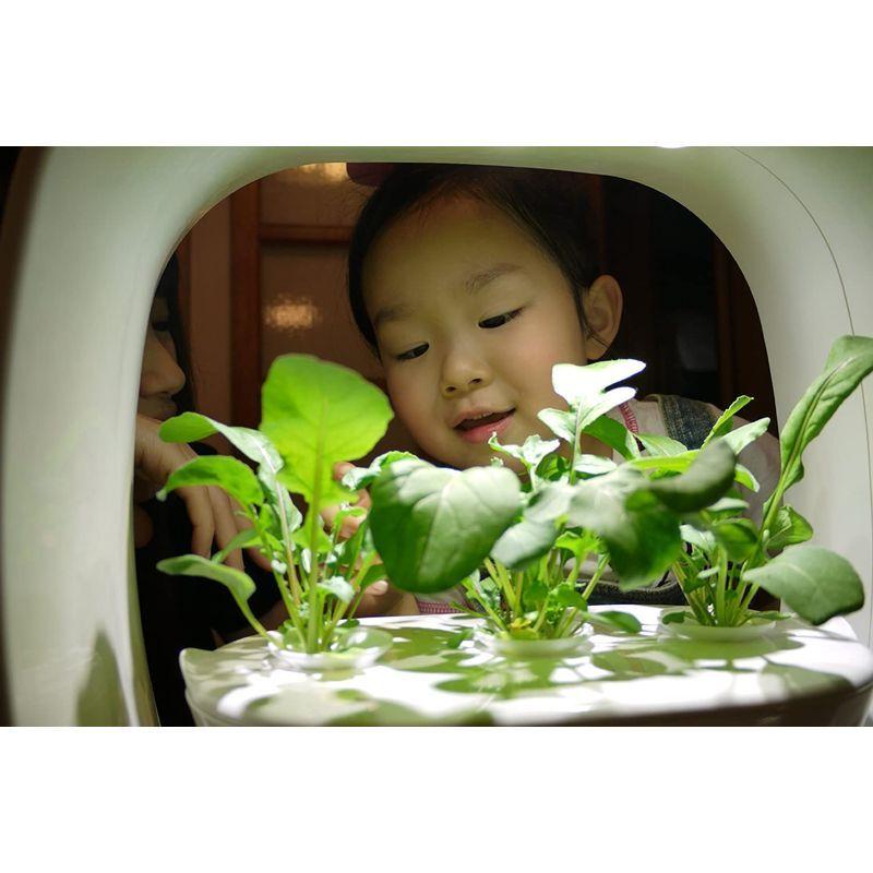 LED照明付水耕栽培キット VEGUNI(ベジユニ) 日本製 W336×D150×H336mm VEGUNI ベジユニ 日本製 W336×D150×H336mm