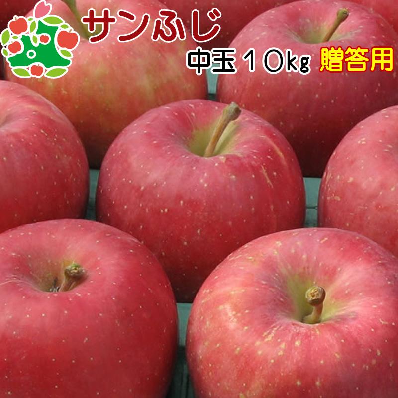 りんご 贈答 最大42%OFFクーポン 青森県産 サンふじ 中玉 10kg 最大42%OFFクーポン 特選