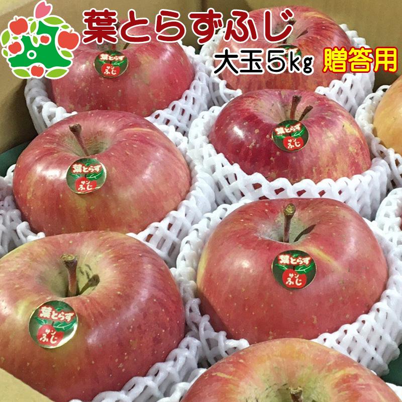 りんご 贈答 大玉 サンふじ 青森県産 葉とらず ふじ 特選 5kg 産地直送 