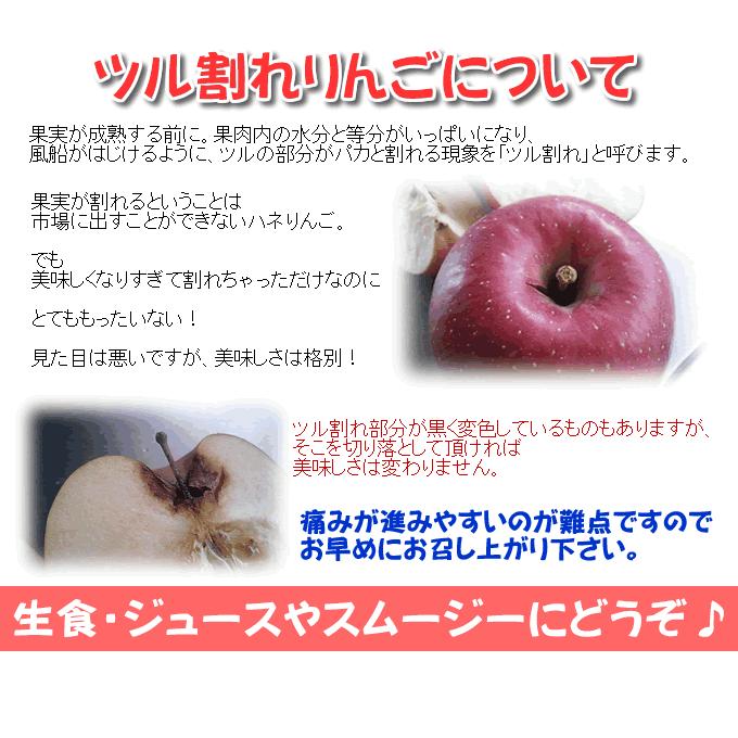 りんご 訳あり 青森県産 早生ふじ ツル割れ 10kg｜sakuraba-apple｜12