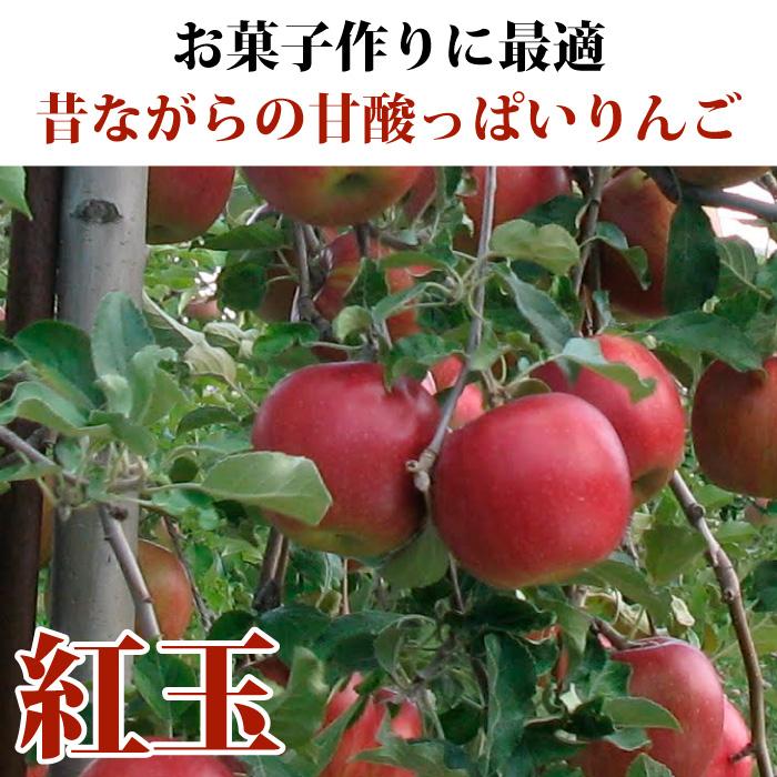 りんご 訳あり 青森県産 紅玉 家庭用 キズあり 袋詰め 8玉入り CA貯蔵（5個まで購入可能）｜sakuraba-apple｜03