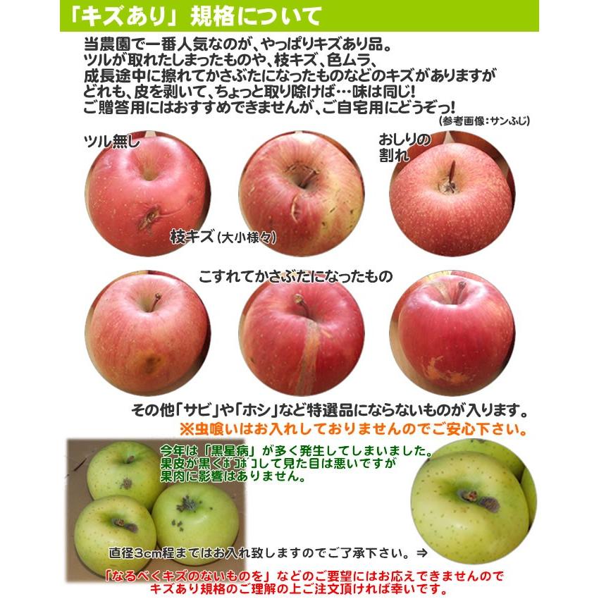 りんご 訳あり 青森県産 紅玉 家庭用 キズあり 袋詰め 8玉入り CA貯蔵（5個まで購入可能）｜sakuraba-apple｜14