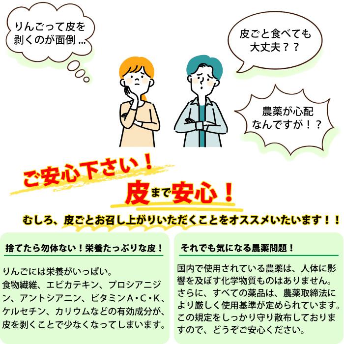 りんご 訳あり 青森県産 紅玉 家庭用 キズあり 袋詰め 8玉入り CA貯蔵（5個まで購入可能）｜sakuraba-apple｜11