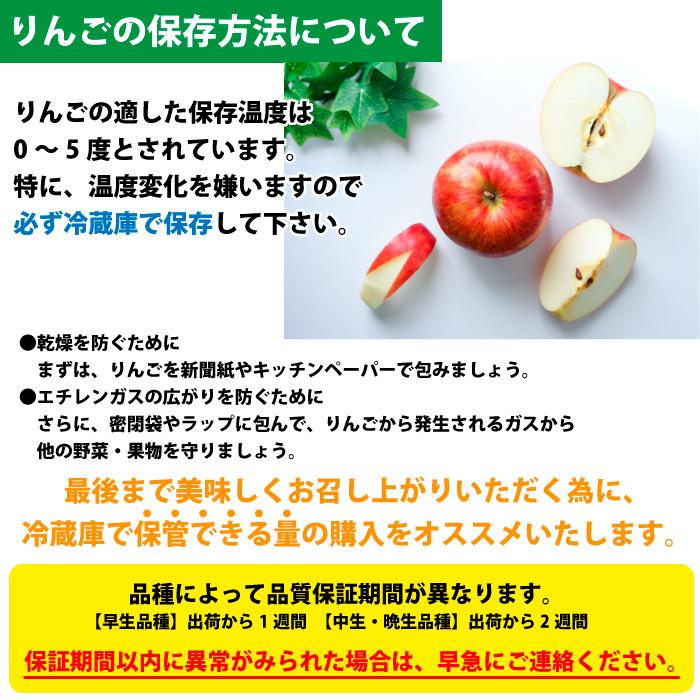 りんご 訳あり 青森県産 トキ 家庭用 キズあり 10kg 産地直送 産直自宅用 ワケあり お試し 試食 食べ物 旬の くだもの 果物｜sakuraba-apple｜14