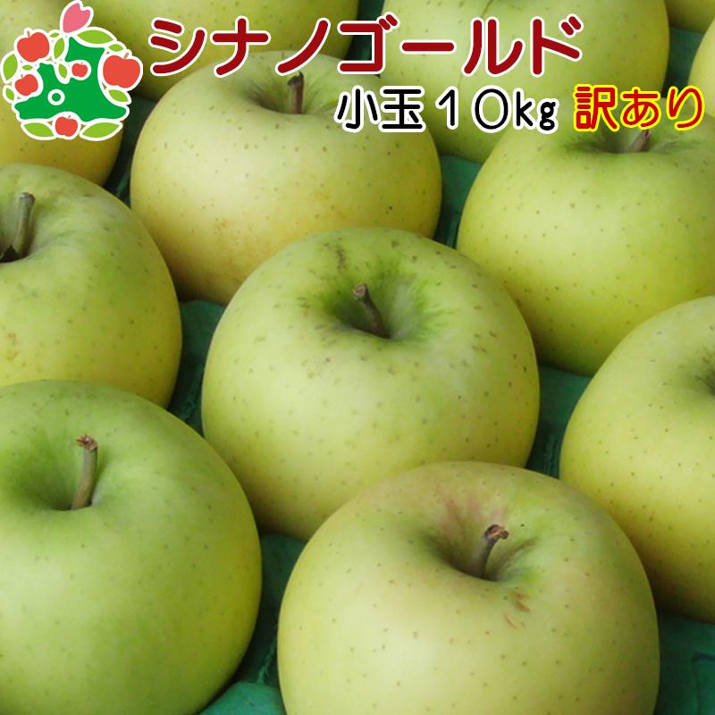 りんご 訳あり 1 0kg 日本最大の 青森県産 キズあり 送料無料 一部地域を除く 10kg シナノゴールド 小玉