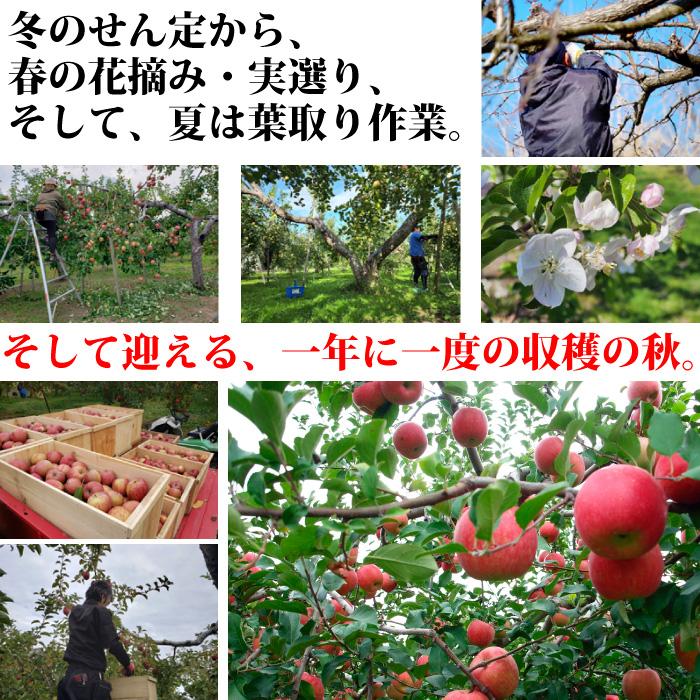 りんご　オーダー品 りんご通販専門販売の大川りんご園：寿リンゴ