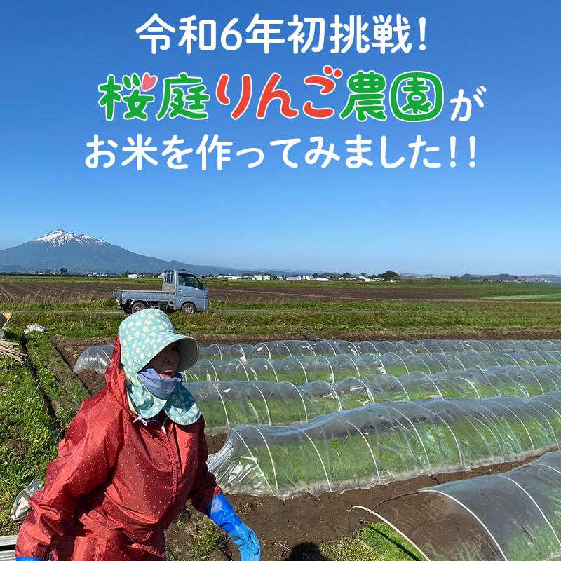 令和6年産 新米 青森県産 はれわたり 青森米 選べる 精米 玄米 令和6年産 新米 青森県産 はれわたり 青森米 選べる 精米 玄米