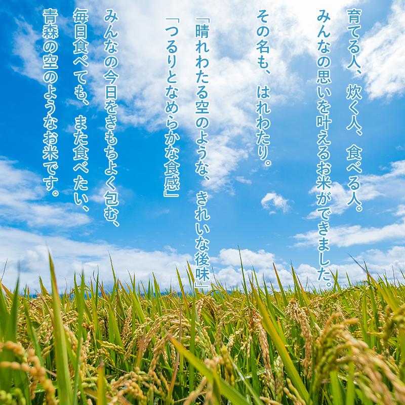 令和6年産 新米 青森県産 はれわたり 青森米 選べる 精米 玄米 令和6年産 新米 青森県産 はれわたり 青森米 選べる 精米 玄米