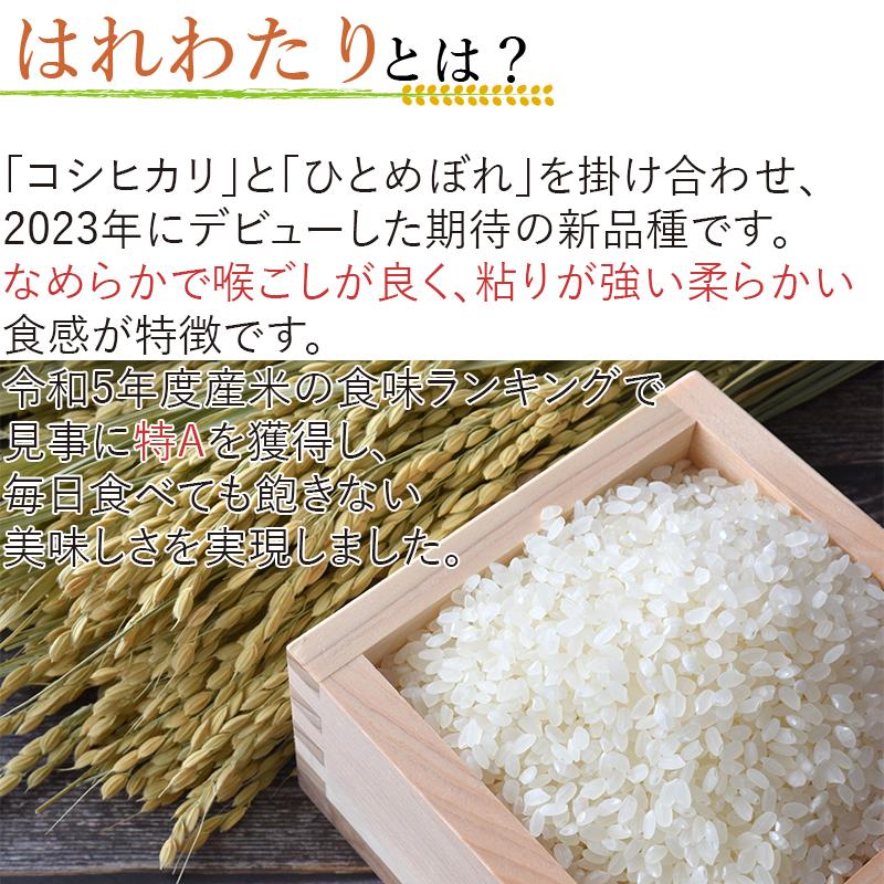 令和6年産 新米 青森県産 はれわたり 青森米 選べる 精米 玄米 令和6年産 新米 青森県産 はれわたり 青森米 選べる 精米 玄米