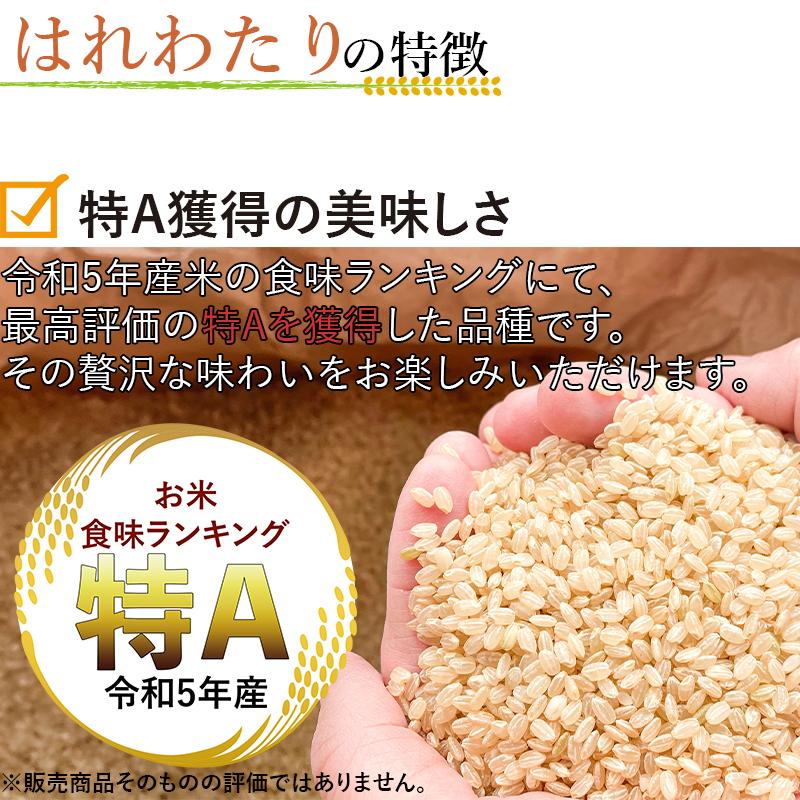 令和6年産 新米 青森県産 はれわたり 青森米 選べる 精米 玄米 令和6年産 新米 青森県産 はれわたり 青森米 選べる 精米 玄米