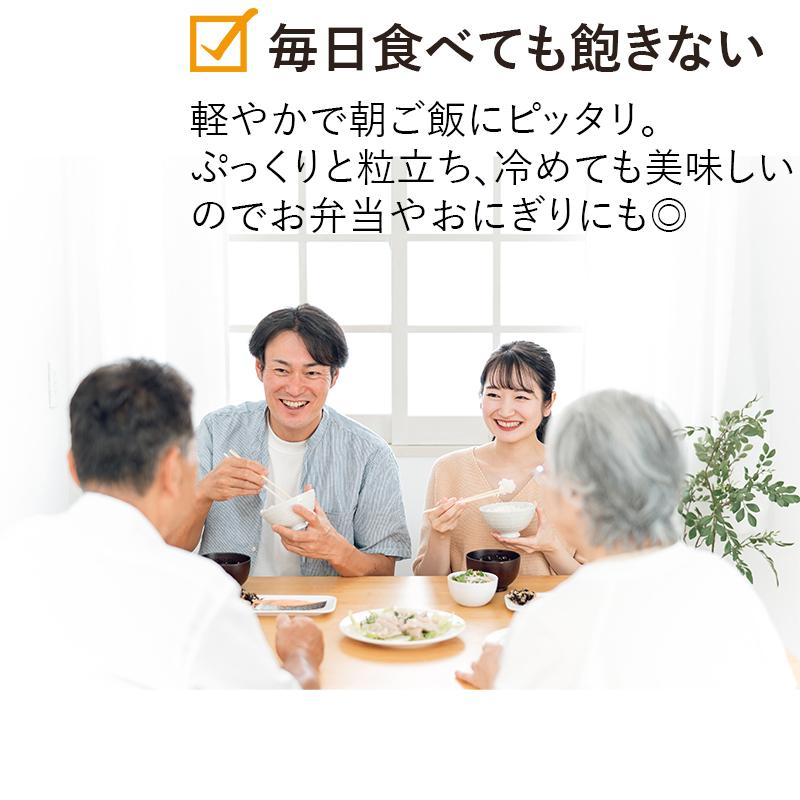 令和6年産 新米 青森県産 はれわたり 青森米 選べる 精米 玄米 令和6年産 新米 青森県産 はれわたり 青森米 選べる 精米 玄米