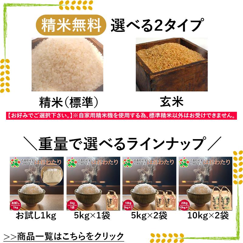 令和6年産 新米 青森県産 はれわたり 青森米 選べる 精米 玄米 20kg  