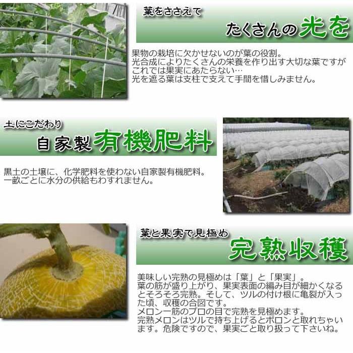 メロン☆購入前在庫＆プロフ確認お願い 177 アールスメロン 秀品 2玉 約3.2kg～4kg 茨城県 JA水戸産
