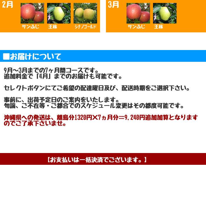 特価特価りんご 訳あり 10kg 青森県産 家庭用 キズあり 10kg 頒布会 9月からお届け開始 りんご 