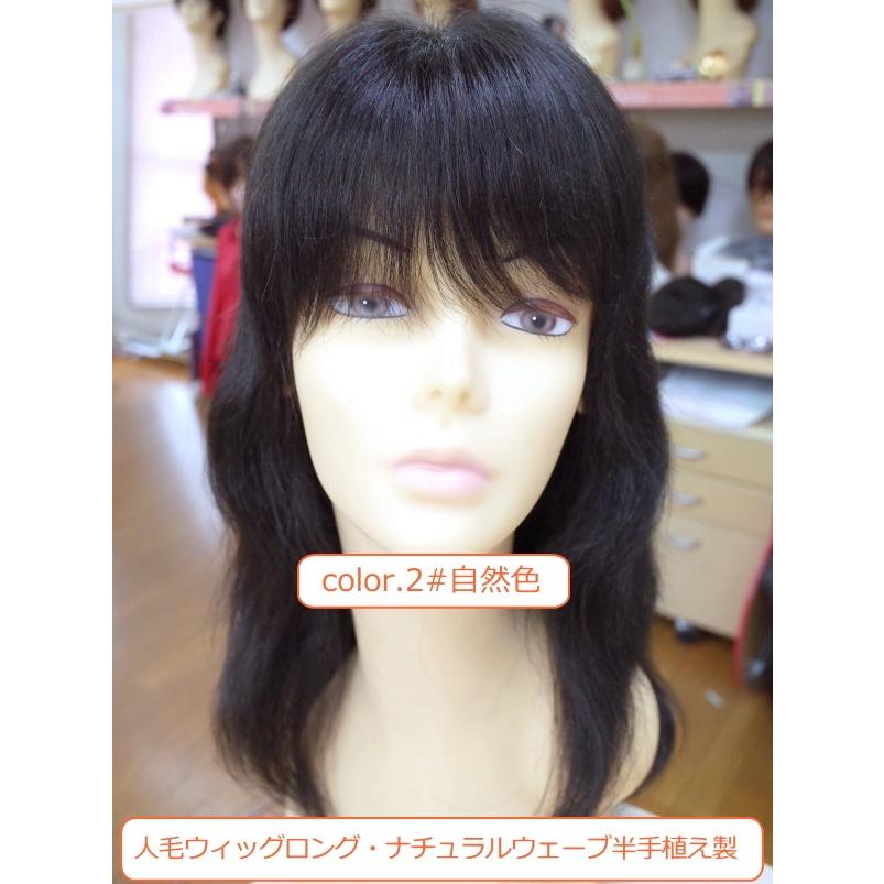 人毛100% フルウィッグ女性用レディース ロング ストレート 50cm 半手植え 医療用 かつら レディース hm リアル地肌付 高品質 自然 軽い 通気性_1