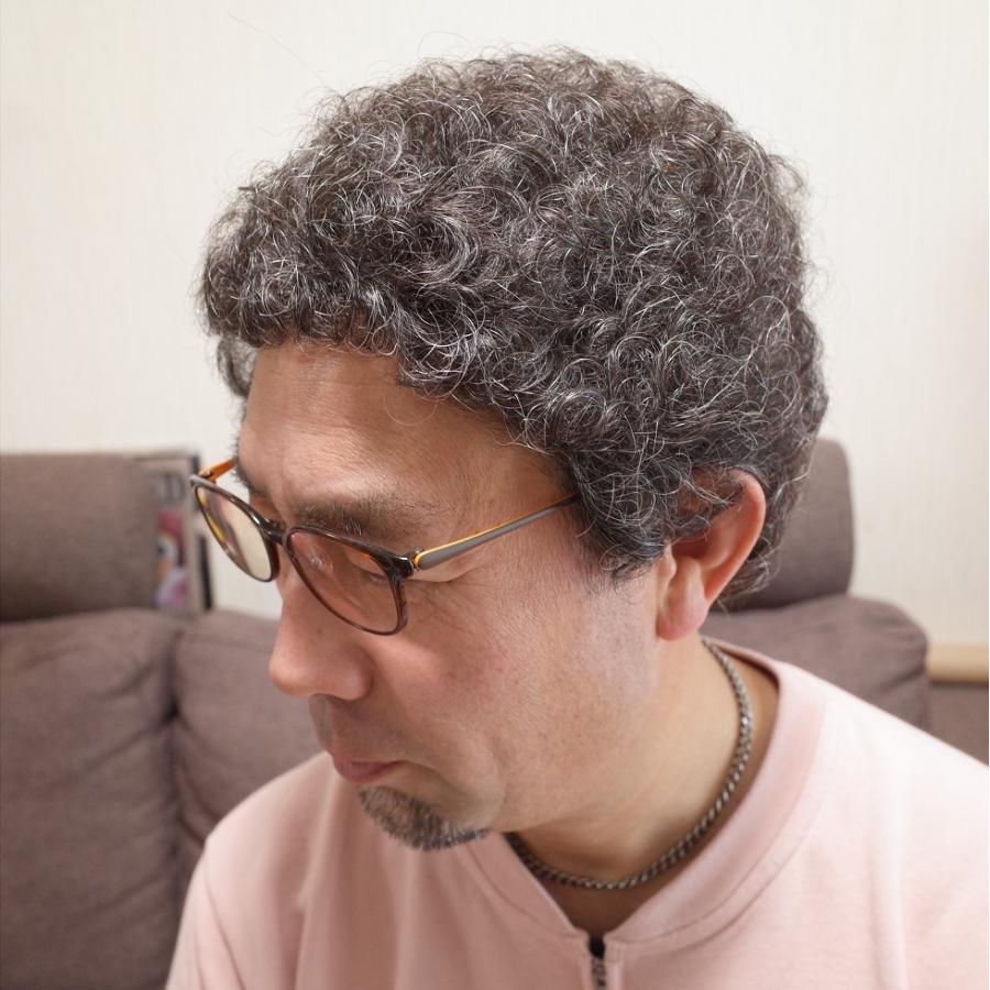 ウィッグ メンズ パンチパーマ風 超軽量 白髪 ウィッグ 総手植え製 Hm100 Hm100 10 人毛部分ウィッグ通販さくら倶楽部 通販 Yahoo ショッピング