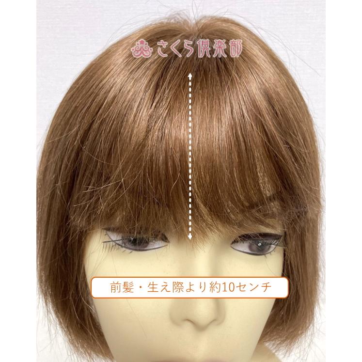 女性用 レディースフルウィッグ 人毛ミックス 総手植え 医療用 ウィッグ 自然 ショート ボブ かつら 軽い 軽量 分け目自由 さくら倶楽部 hm12の画像