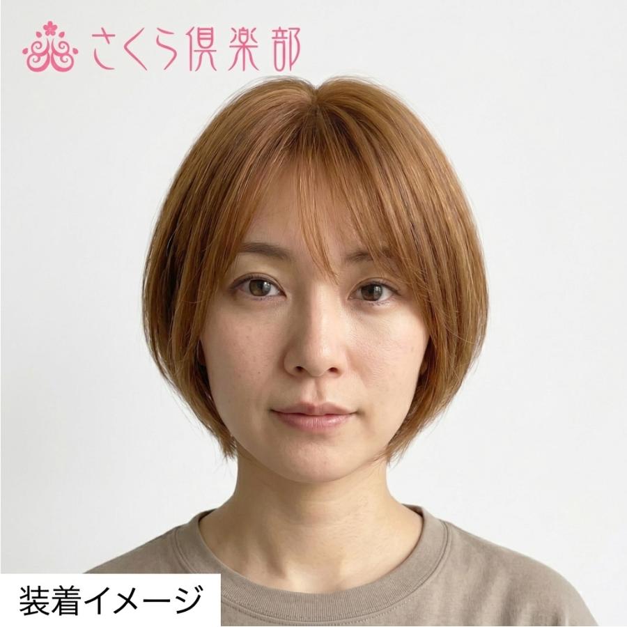 女性用 レディースフルウィッグ 人毛ミックス 総手植え 医療用 ウィッグ 自然 ショート ボブ かつら 軽い 軽量 分け目自由 さくら倶楽部 hm12の画像