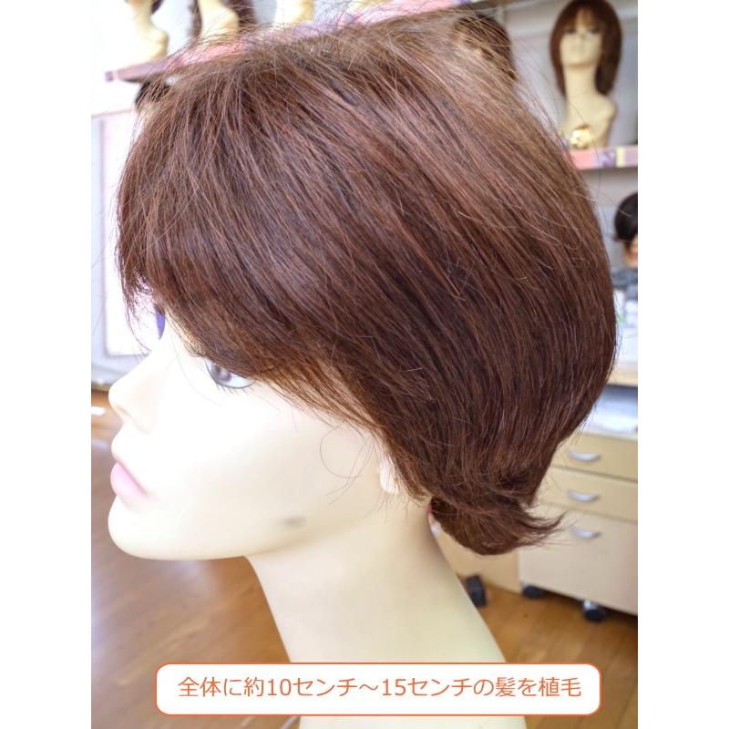 フルウィッグ 人毛ミックス女性用 レディース 半手植え 医療用 マッシュショート 襟足 外ハネ 分け目自由 hm2520 ミセス かつら ミックス 耐熱 自然 軽量_6