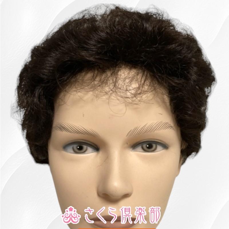さくら倶楽部 メンズフルウィッグ 男性用 全かつら 総手植え製 人工毛