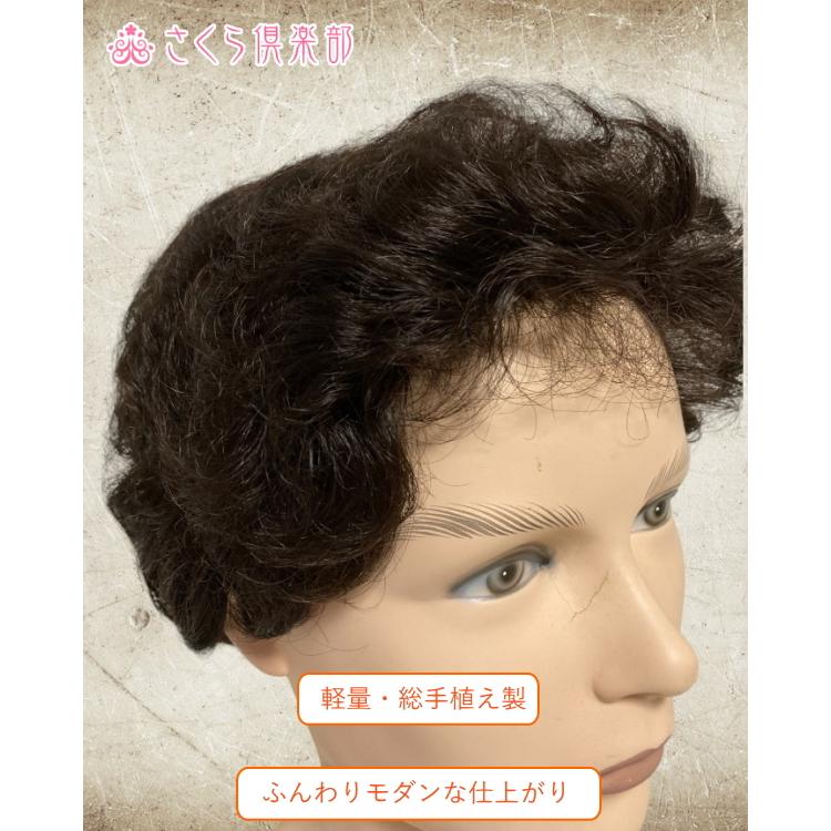 さくら倶楽部 メンズフルウィッグ 男性用 全かつら 総手植え製 人工毛