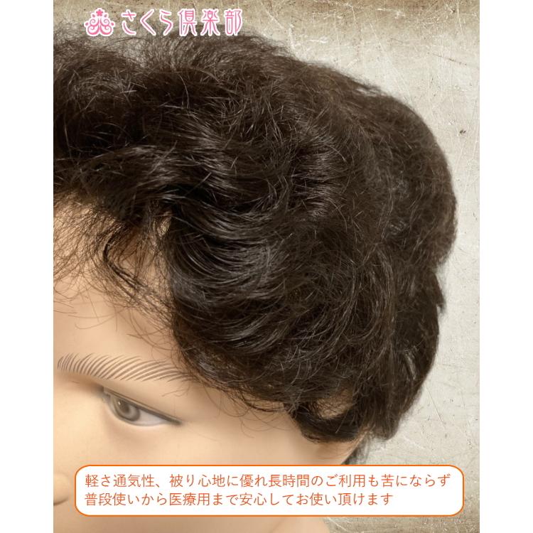 さくら倶楽部 メンズフルウィッグ 男性用 全かつら 総手植え製 人工毛