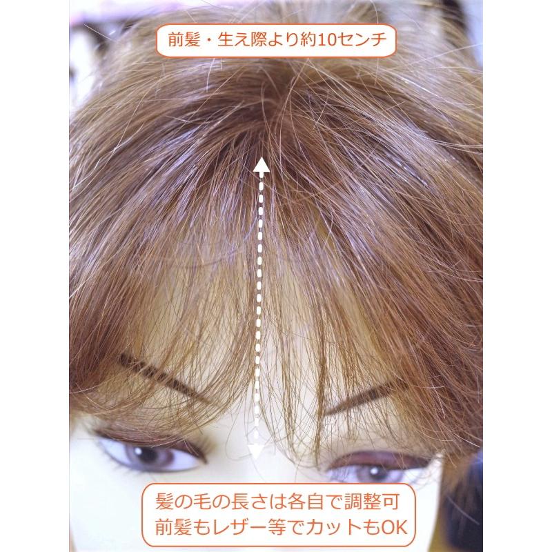 フルウィッグ女性用 レディース 人毛ミックス 半手植え 医療用 ショート ボリューム 分け目自由 LINDA ミセス かつらミックス 耐熱 自然 軽量_5