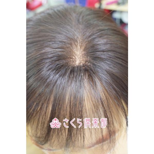 新作モデル メンズウィッグ 男性用 全かつら 人毛ミックス M 14 超人気の Zoetalentsolutions Com