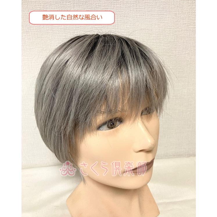 さくら倶楽部 男性用メンズウィッグ フルウィッグ 白髪入り mm017 男性