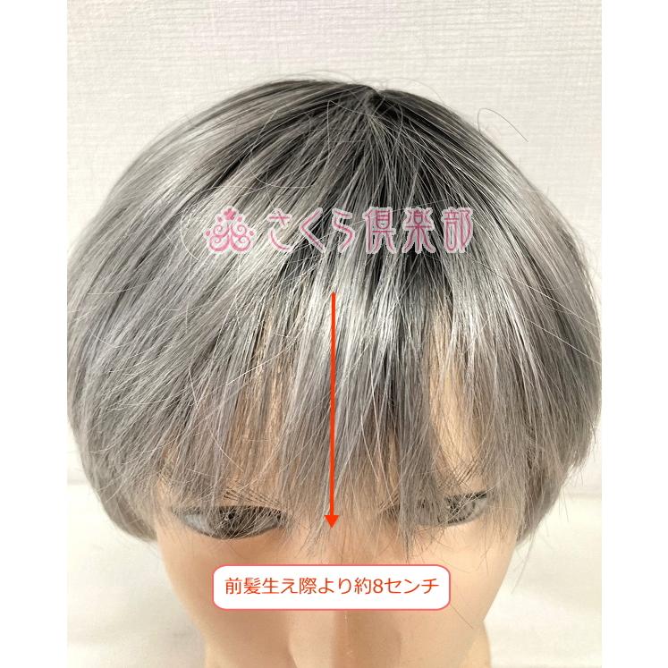 さくら倶楽部 メンズフルウィッグ 男性用 全かつら 耐熱人工毛 機械 