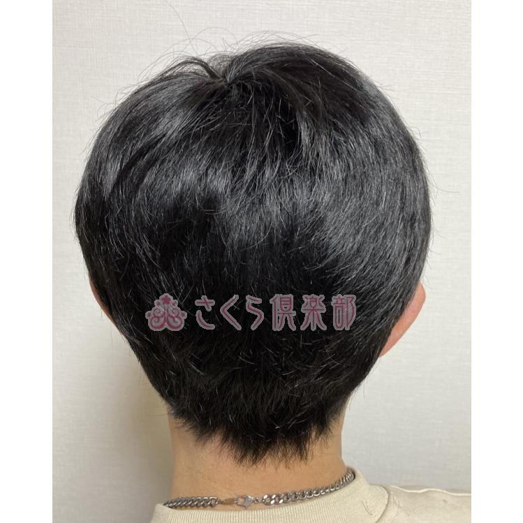 男性用メンズウィッグ 人毛100％ フルウィッグ MM018 男性用 かつら 前髪短め カジュアル スタイル マシンメイド 医療用 普段使い ドライヤー ヘアアイロンの画像