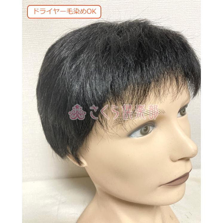 男性用メンズウィッグ 人毛100％ フルウィッグ MM018 男性用 かつら 前髪短め カジュアル スタイル マシンメイド 医療用 普段使い ドライヤー ヘアアイロンの画像
