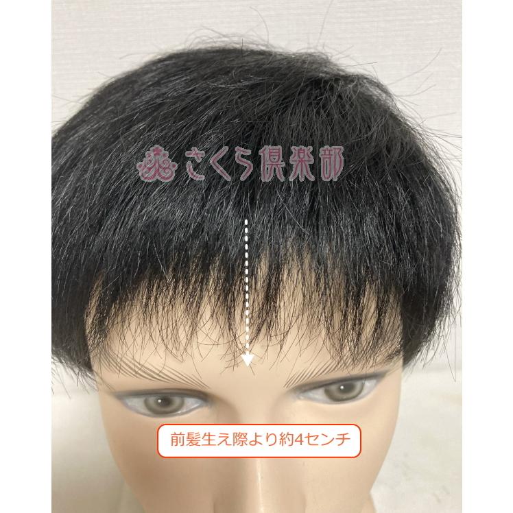 男性用メンズウィッグ 人毛100％ フルウィッグ MM018 男性用 かつら 前髪短め カジュアル スタイル マシンメイド 医療用 普段使い ドライヤー ヘアアイロンの画像
