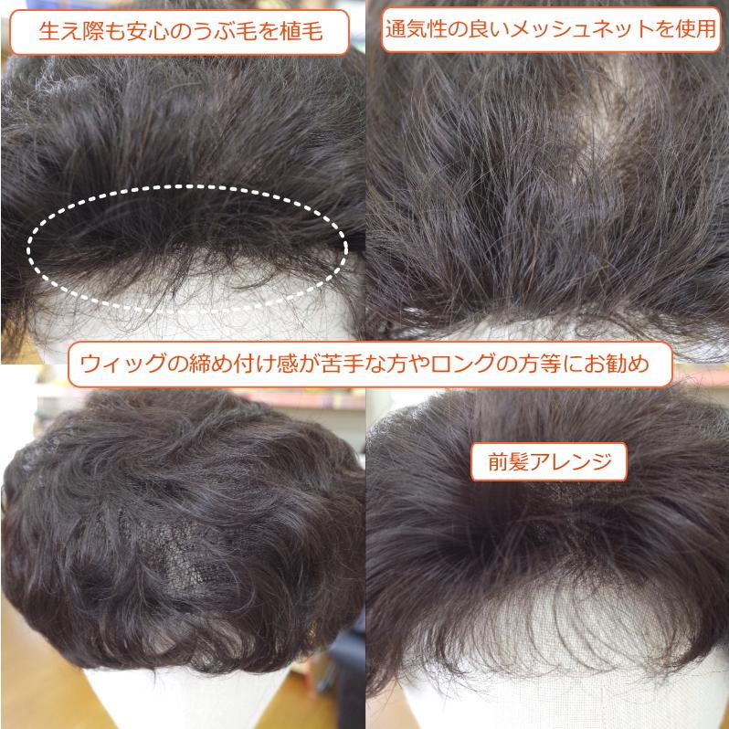 さくら倶楽部 部分ウィッグ 総手植え製 人工毛 かつら 8分ウィッグ 