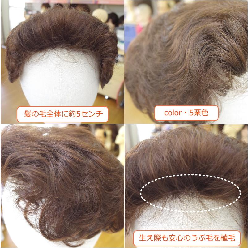 さくら倶楽部 部分ウィッグ 総手植え製 人工毛 かつら 8分 さくら倶楽部 部分ウィッグ 総手植え製 人工毛 かつら 8分