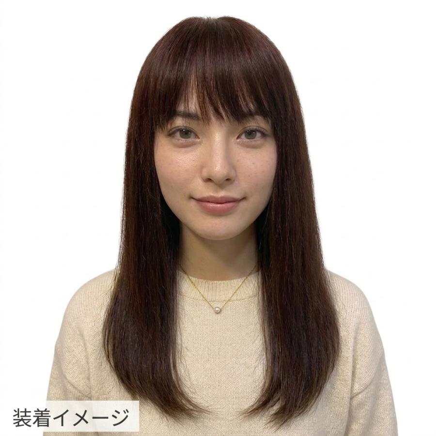 人毛100% 女性用レディースフルウィッグ ロング ストレート 50cm 総手植え 医療用 かつら sc-hw9t リアル地肌付 高品質 自然 軽い 通気性 毛染め アイロン 可能の画像