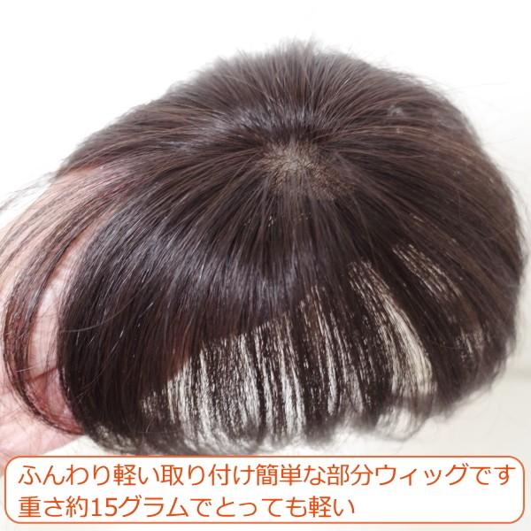 さくら倶楽部 部分ウィッグ メンズ 男性用かつら 人毛100% S さくら倶楽部 部分ウィッグ メンズ 男性用かつら 人毛100% S