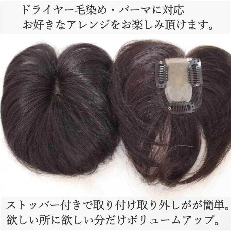 さくら倶楽部 男性用メンズ部分ウィッグ人毛100% top-01t Sサイズ 総