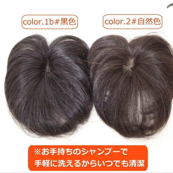さくら倶楽部 部分ウィッグ 人毛100% 総手植え Sサイズ top-01t