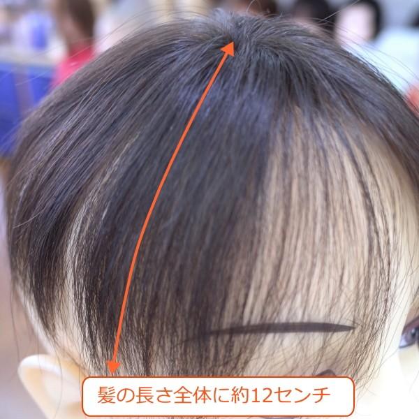 さくら倶楽部 部分ウィッグ 人毛100% 総手植え Sサイズ top-01t